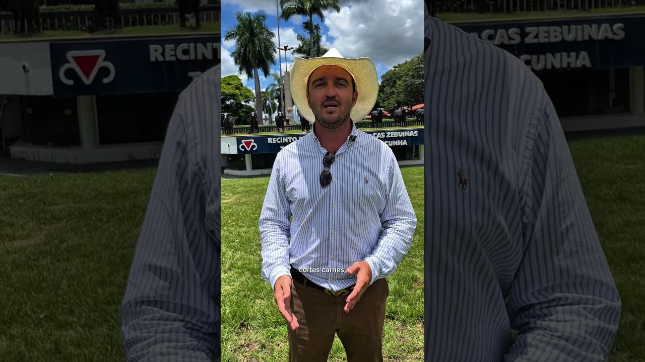 Na pecuária de corte, existe um modelo de animal ideal ou isso é relativo❓ MINUTO ABCZ