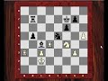 Letsplaychess.com presents Kasparov vs Illescas