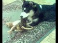 Giornata playing