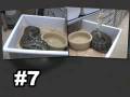 SnakeBytesTV-WTF is this show about???
