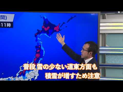 動画
