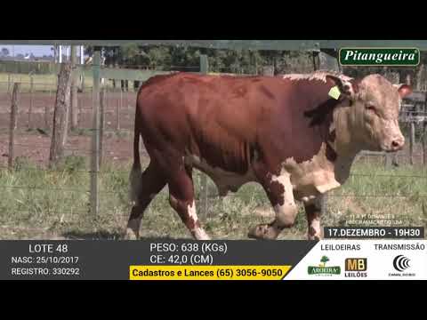 LEILO E DE OLHO NA FAZENDA GRUPO PITANGUEIRA