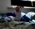 Cute baby on waterbed - süsses Baby auf Wasserbett