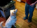Kibbles\ Kibbles\