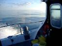 Black Bream fishing in the North Sea Black Bream fishing in the North Sea