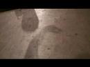 shadow violence
