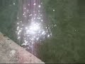godspeed you black emperor - static
