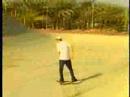 skate: dc team European Collective in Dubai