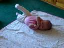 Hailey Bug Hailey Bug
