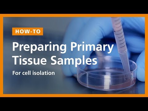 how to isolate cells from tissue