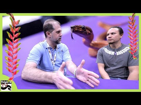 YouTube reptile video