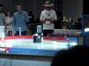Second Festival Des Robots A Mantes La Jolie 8