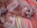Junior!