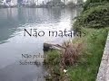 Dez Mandamentos Ambientais
