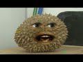 Click here to watch this video re: Annoying Orange - Tough Enough (ft. Toby Turner)