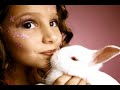 CONTRA TESTES DE COSMÉTICOS EM ANIMAIS