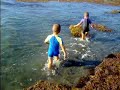 Kids swimming in the mussel reefs