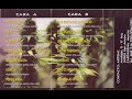 Krítika y Mensaje- Los elementos esenciales(1999)