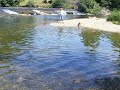 terranovas del bitxo