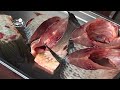 Spustit video