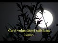 Jomo - ?u Vi Volas Danci?