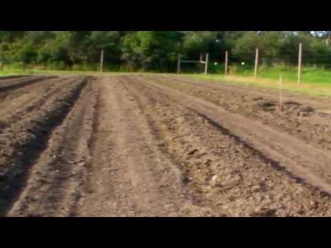 how to drain boggy land