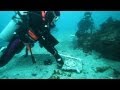 海底に「三葉葵」の瓦 静岡・熱海沖で発見