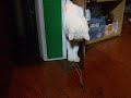 ?? ??