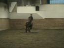 sofia&jupiter hopptr�ning