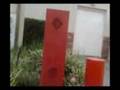 videos de crazy guy