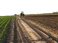 MF5455 ploughing