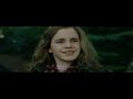So, I was bored/procrastinating, and I randomly decided to make a trailer for an H/Hr film (