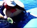 Ping Pong on the River - 1