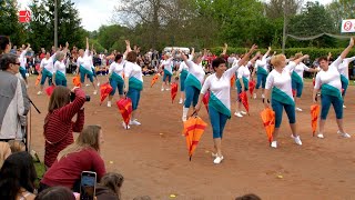 Sokolský slet Moravičany - Babí léto