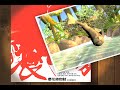 消失的真相  - 牠們的命運將影響你我  global warming( endangered species)