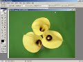 adobe fotobhop dersleri arşiv kataloğu oluşturmak