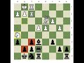 Aaron Nimzowitsch; Not Pawns, Pieces 2