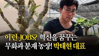 웰컴투보령ㅣ이런 jobs? 혁신을 꿈꾸는 무화과 분재 농장! 박태현 대표