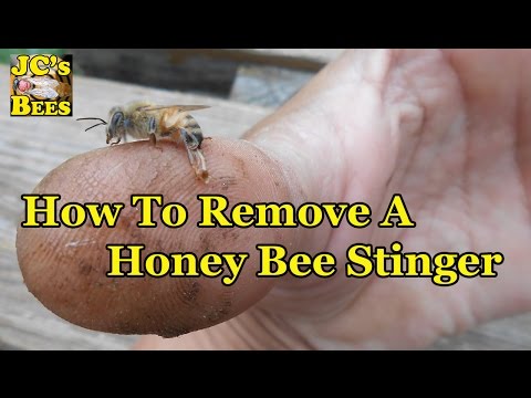 how to relieve swelling from a bee sting