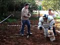 ajierro pompitaman ajierro pompitaman