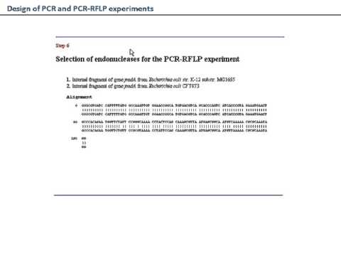 how to perform rflp pcr