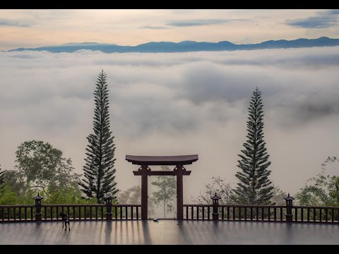 Nghi Thức NIKAYA - Đảnh Lễ Pháp Bảo - Cùng Nhau Nhắc Nhắc Trân Quý Thánh Pháp *