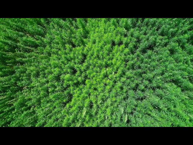 slider-background