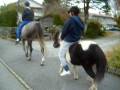 videos de Bilder!!! 067.AVI
