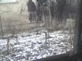un-vecin-nebun