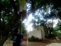 Miguel e sua aventura pela uma cajarana...
