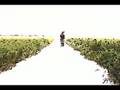 Walking-through-Rice