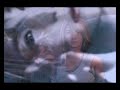 Take your sweet time ~ tidus and yuna