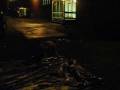 videos de SLIP'N SLIDE