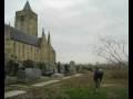 videos de Beveren-Ijzer - gevelde bomen rond de kerk 2